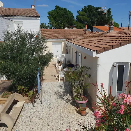 Avec Terrasse, 2 Chambres, Centre, A Proximite, Animaux Sur Demande - Fr-1-476-207 *